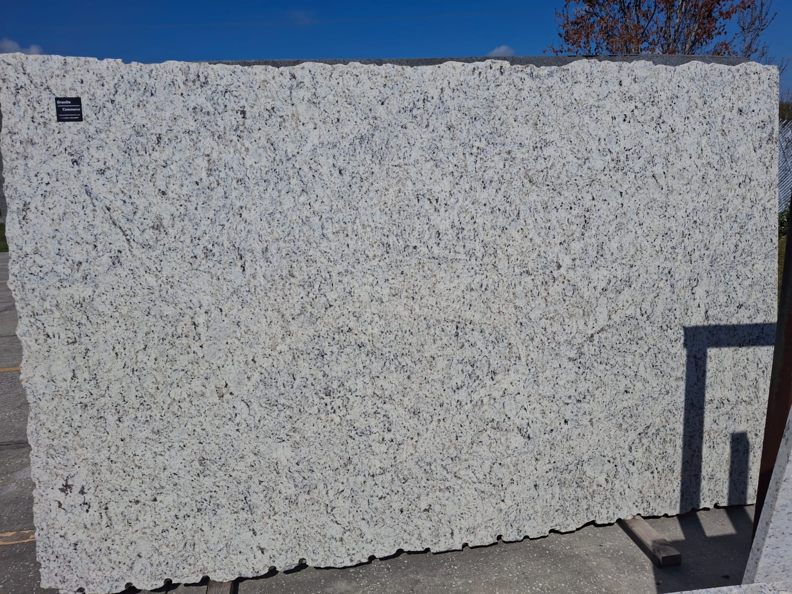 White G slab sample